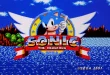 Sonic the Hedgehog SEGA Genesis (SG)